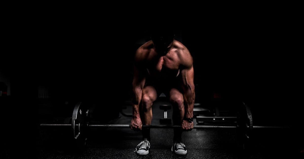 Once-a-Week Full Body Workout: Maximum Impact Minimum Time