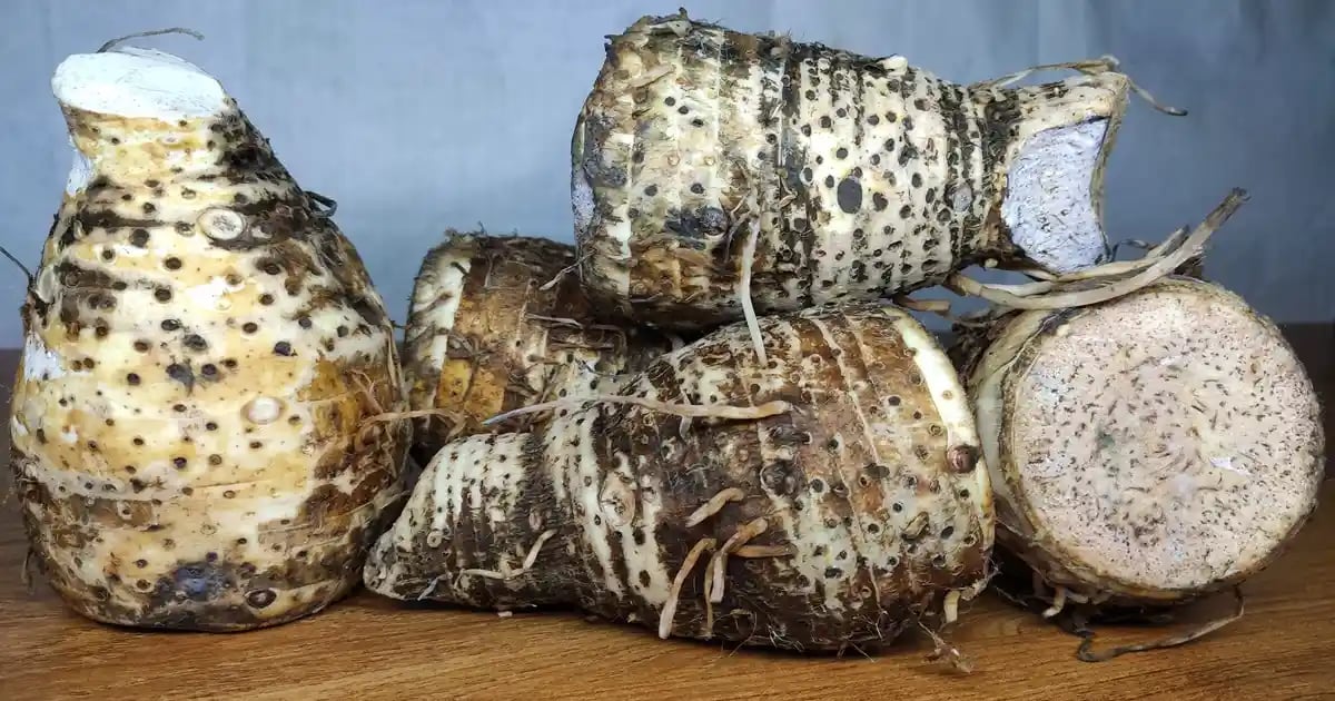 Nduma taro arrowroot Kenya nutrition facts overlay showing vitamins and minerals