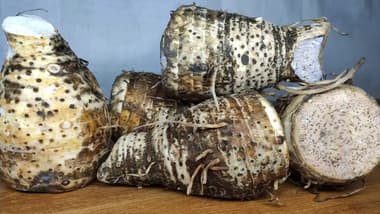 Nduma taro arrowroot Kenya nutrition facts overlay showing vitamins and minerals