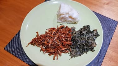 Traditional Kenyan meal featuring omena (silver cyprinid) served with vegetables and ugali