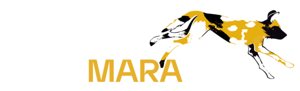 UltraMarathon poster