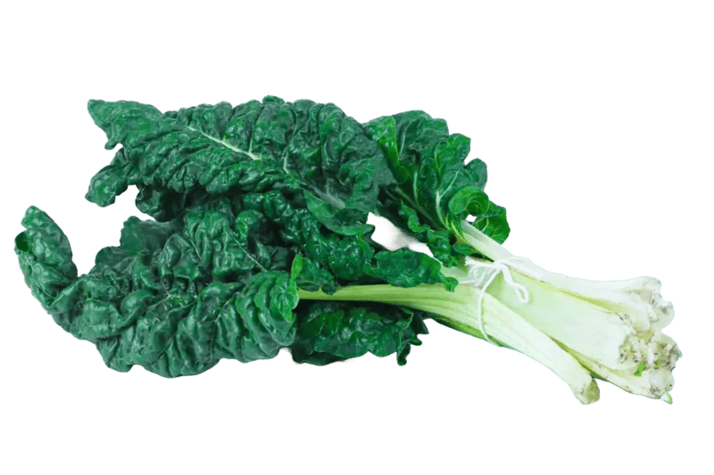 Bunch of Swiss chard with thick white stems and green leaves