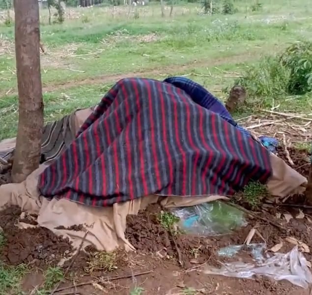 Traditional dome used to harvest winged termites as they emerge from their nest
